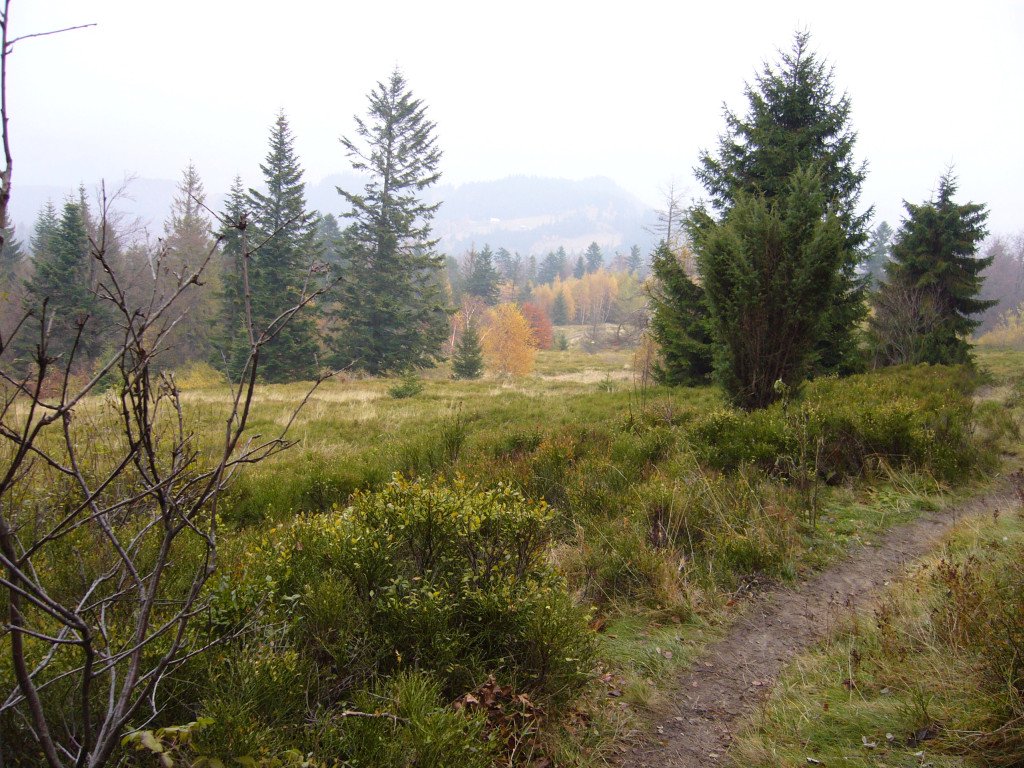 p1040013.jpg