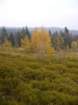 p1040014_small.jpg