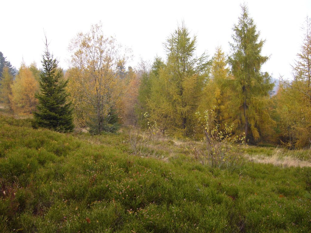 p1040015.jpg
