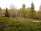 p1040015_small.jpg