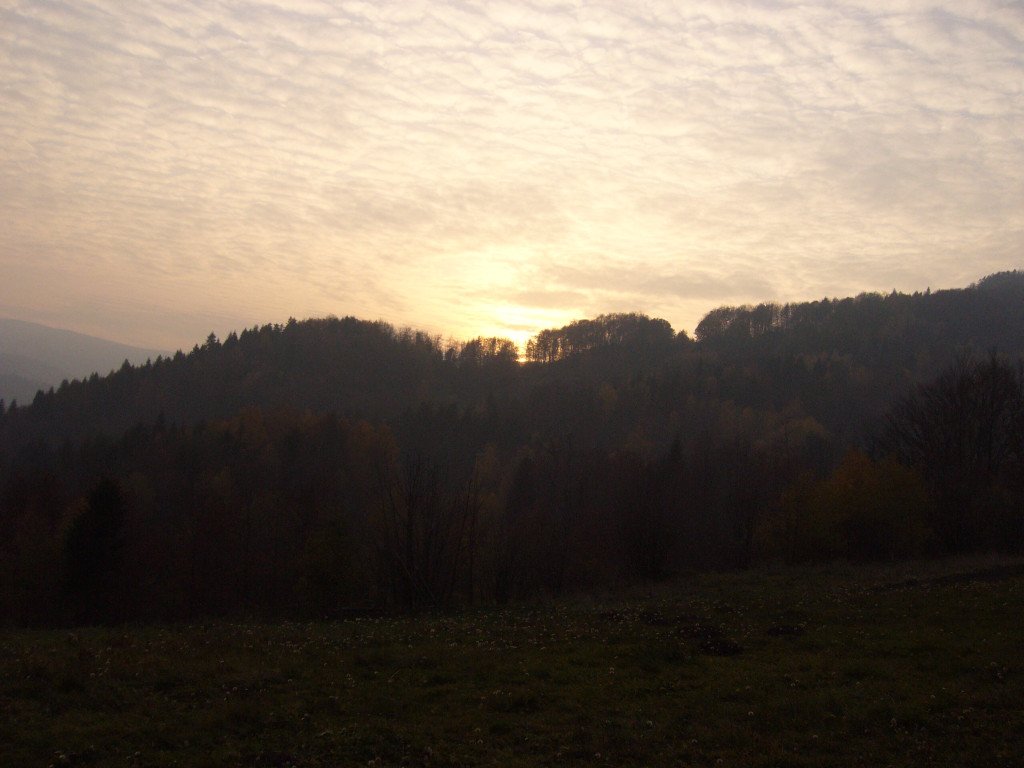 p1040021.jpg