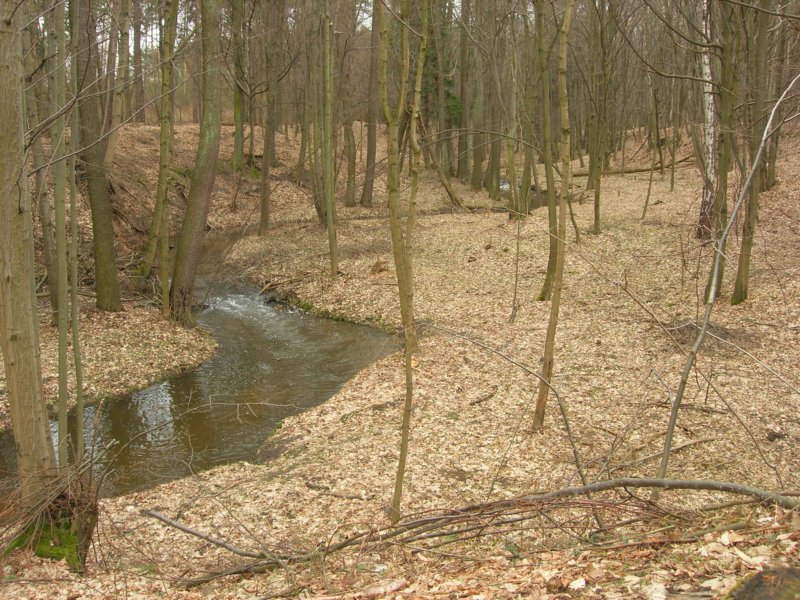 korabiewka.jpg